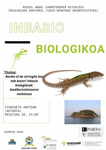 , La lagartija italiana, una nueva amenaza para la microfauna de la costa vasca, Getariako Udala